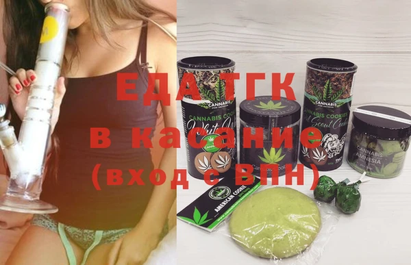 прущие грибы Ачинск