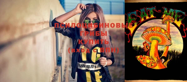 apvp Мегион