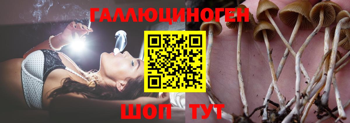 Амфетамин кристаллы  Ефремов  Как найти закладки?  ТГК  Меф  ГАШ  Мефедрон   Вход с VPN  Марихуана 